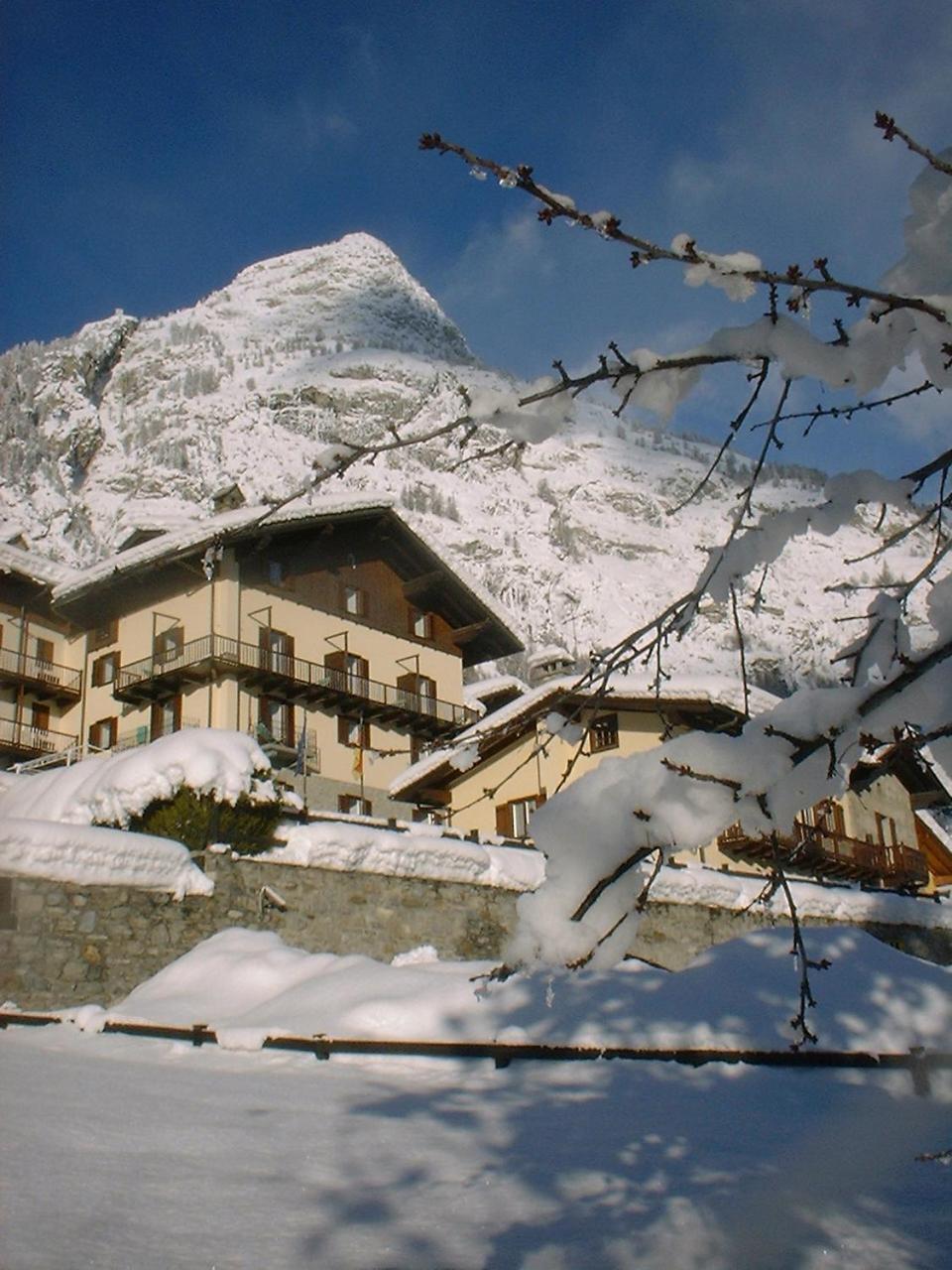 Hotel Ottoz Meublé Courmayeur Kültér fotó